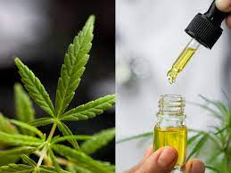 VG TINCTURE - 1000MG - LEMON