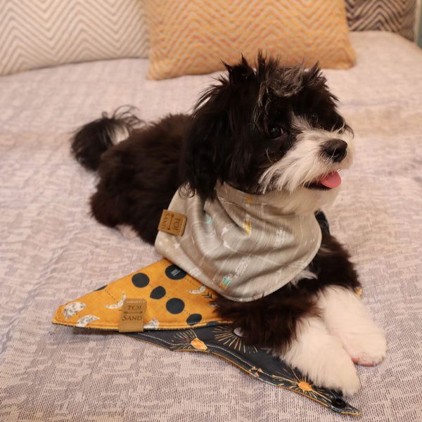 TOJ SAND REVERSIBLE DOG SCARF - GOLD/BLACK