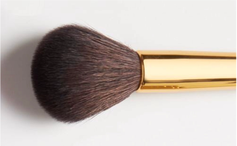 POWDER BLUSH BRUSH + BONUS!