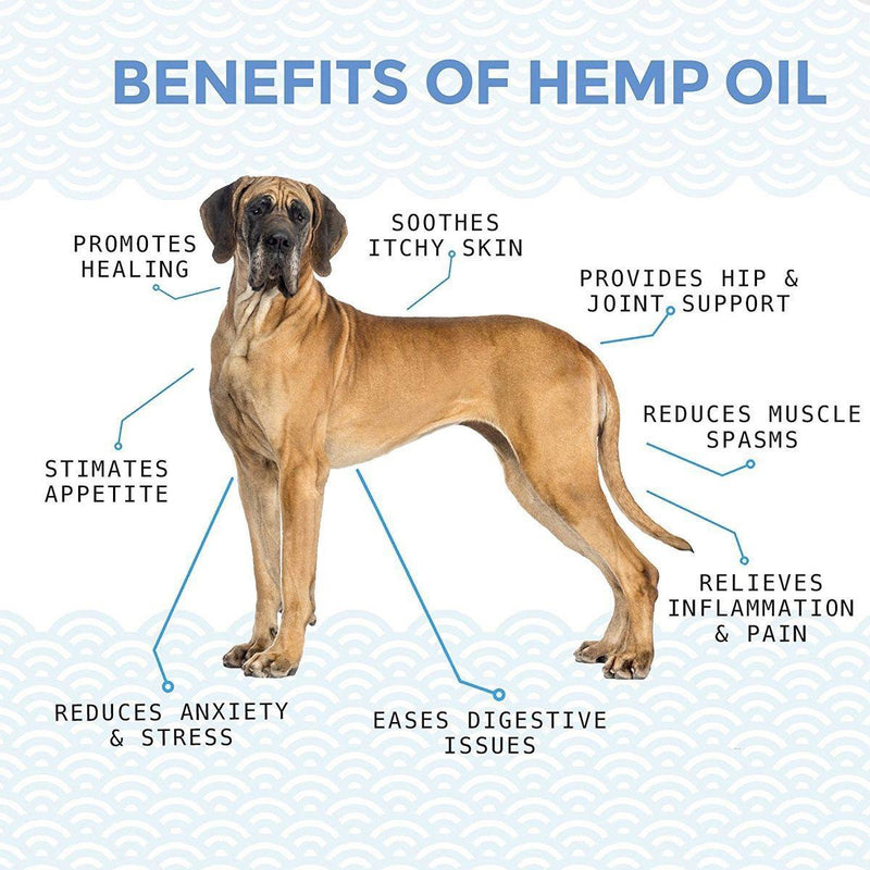 PET OIL TINCTURE - 500MG